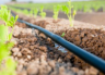 Drip Irrigation